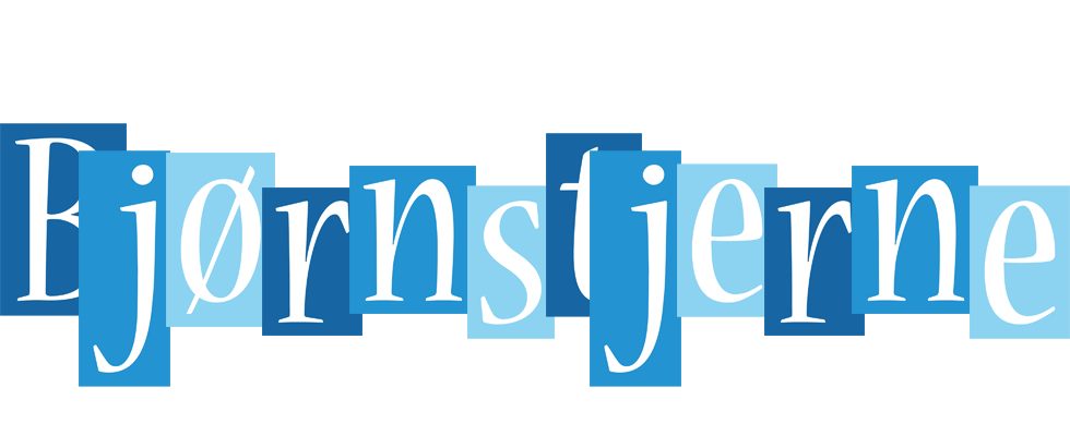 Bjørnstjerne winter logo