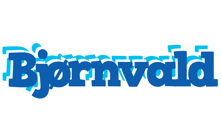 Bjørnvald business logo