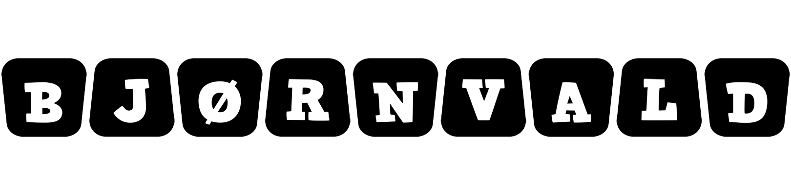 Bjørnvald racing logo