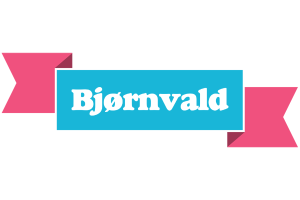 Bjørnvald today logo