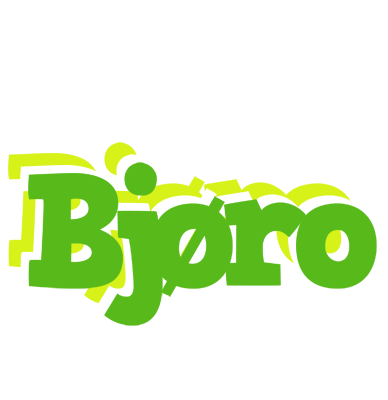 Bjøro picnic logo