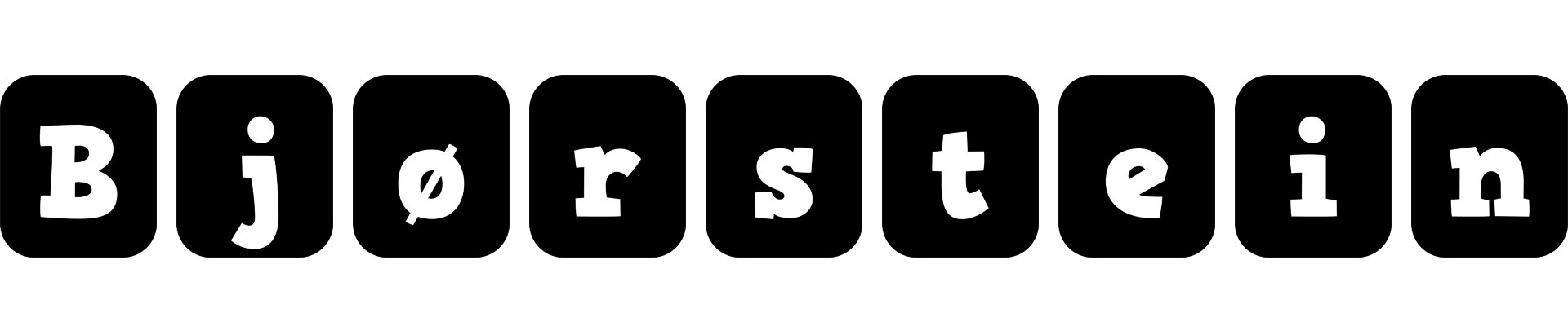 Bjørstein box logo