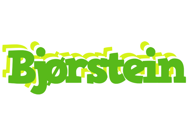 Bjørstein picnic logo