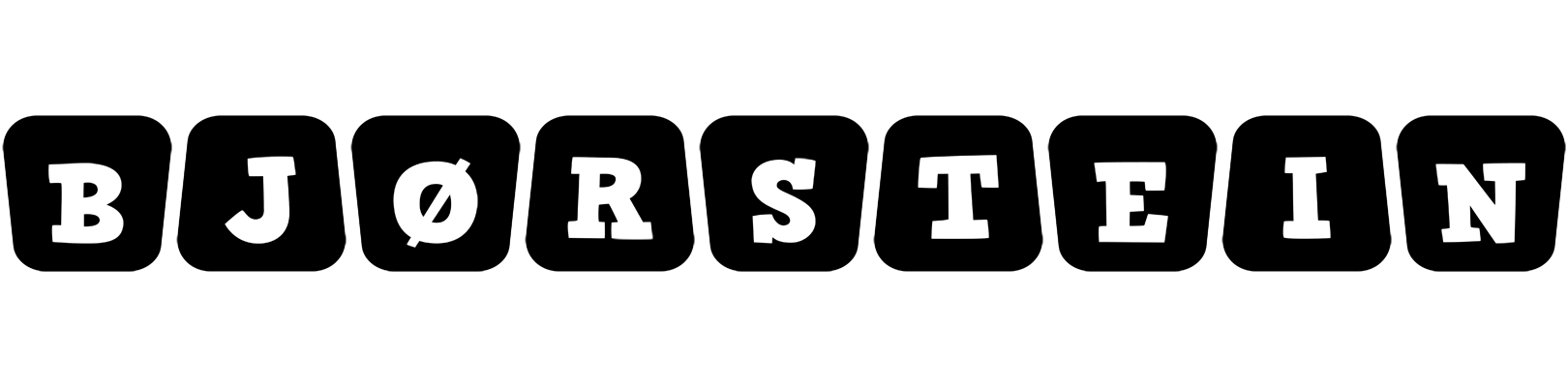 Bjørstein racing logo
