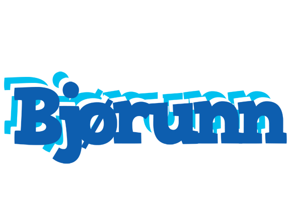 Bjørunn business logo
