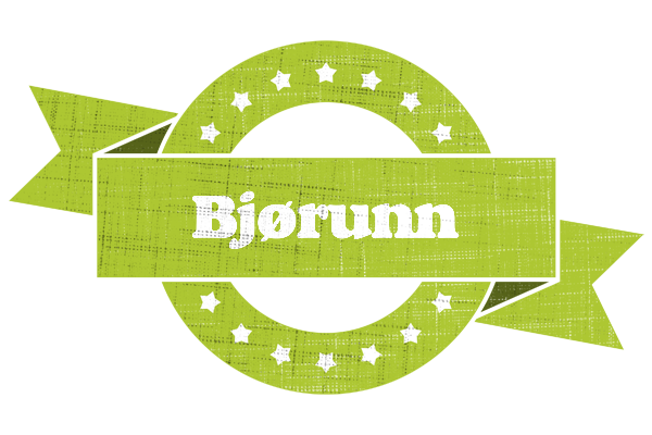 Bjørunn change logo