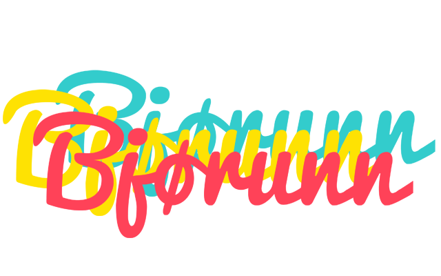 Bjørunn disco logo
