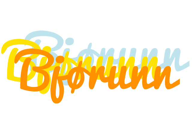Bjørunn energy logo