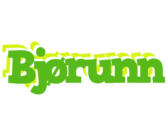 Bjørunn picnic logo