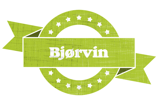Bjørvin change logo