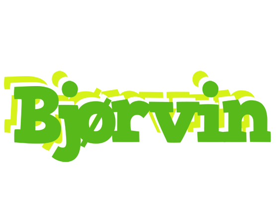 Bjørvin picnic logo