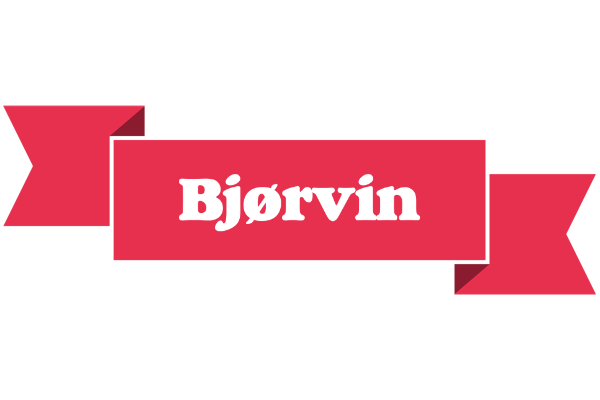 Bjørvin sale logo