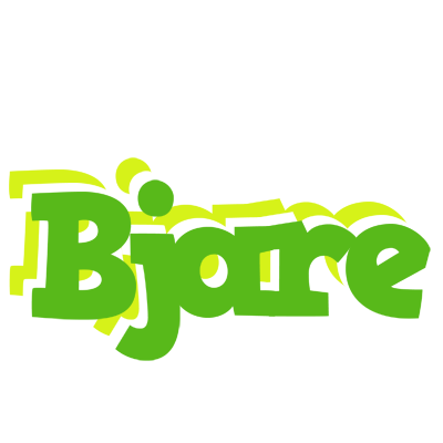 Bjare picnic logo
