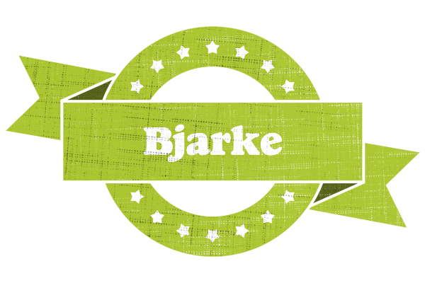 Bjarke change logo