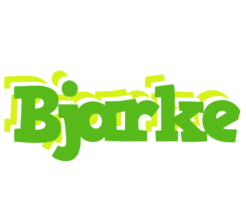 Bjarke picnic logo