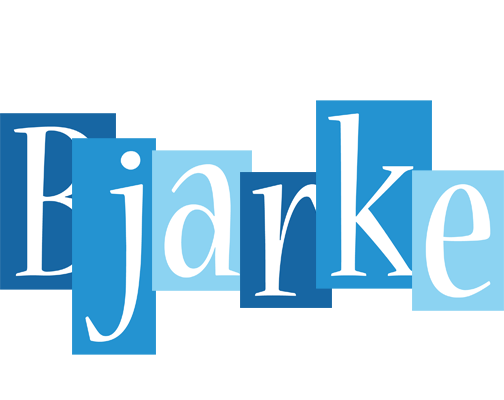 Bjarke winter logo