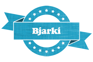Bjarki balance logo
