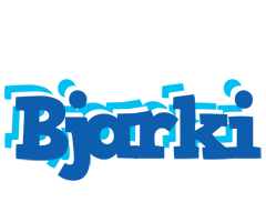 Bjarki business logo