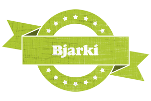 Bjarki change logo