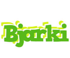 Bjarki picnic logo