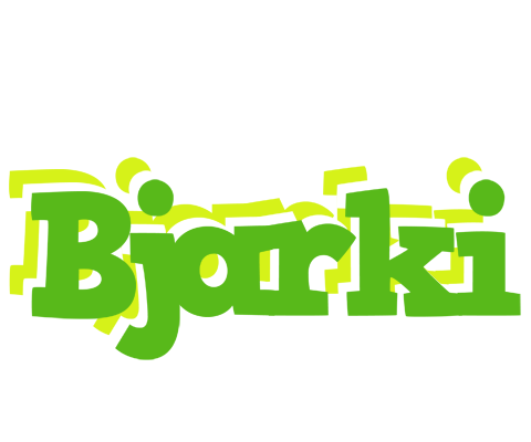 Bjarki picnic logo