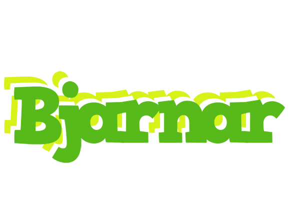 Bjarnar picnic logo