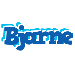 Bjarne business logo