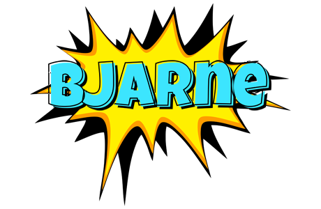 Bjarne indycar logo