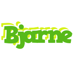 Bjarne picnic logo