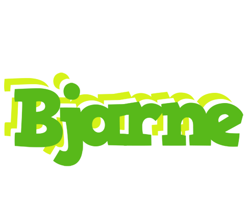 Bjarne picnic logo