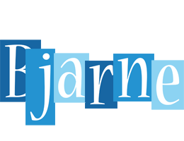 Bjarne winter logo