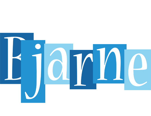 Bjarne winter logo