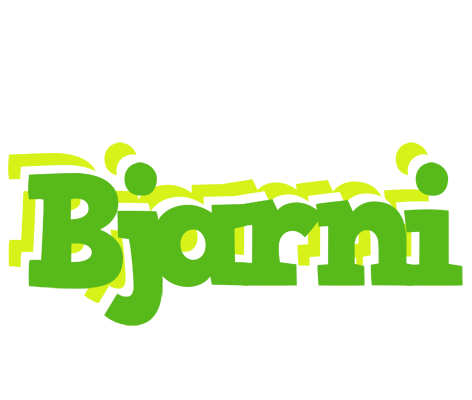 Bjarni picnic logo