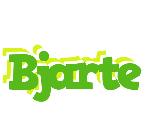 Bjarte picnic logo
