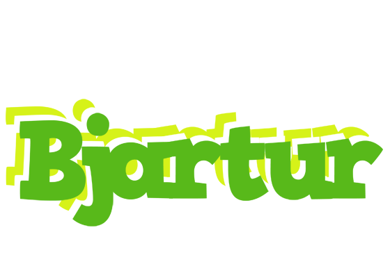 Bjartur picnic logo
