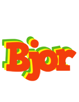 Bjor bbq logo