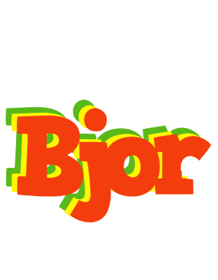 Bjor bbq logo
