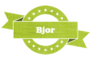 Bjor change logo