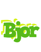 Bjor picnic logo