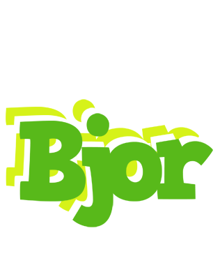 Bjor picnic logo