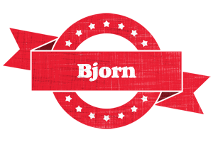 Bjorn passion logo