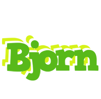 Bjorn picnic logo