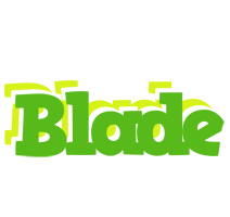 Blade picnic logo