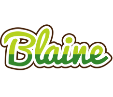 Blaine golfing logo
