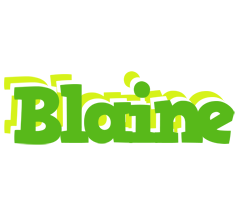 Blaine picnic logo