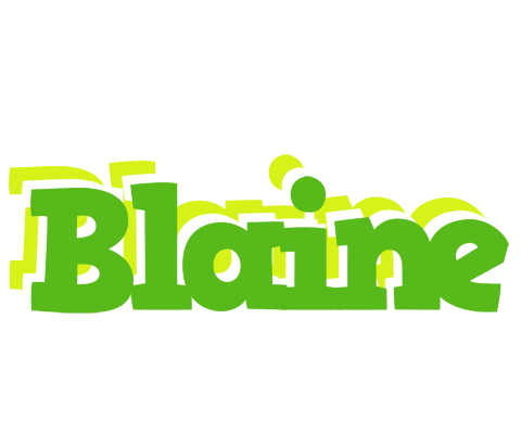 Blaine picnic logo