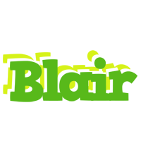 Blair picnic logo