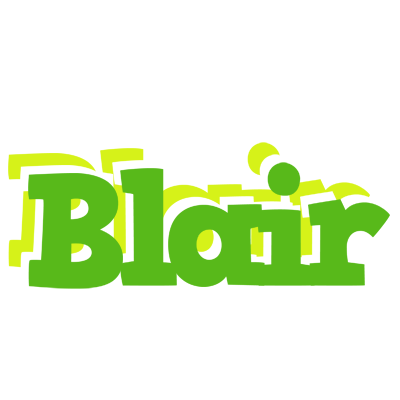 Blair picnic logo