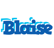 Blaise business logo