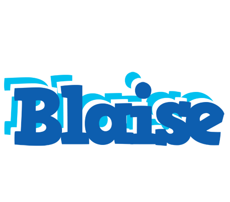 Blaise business logo